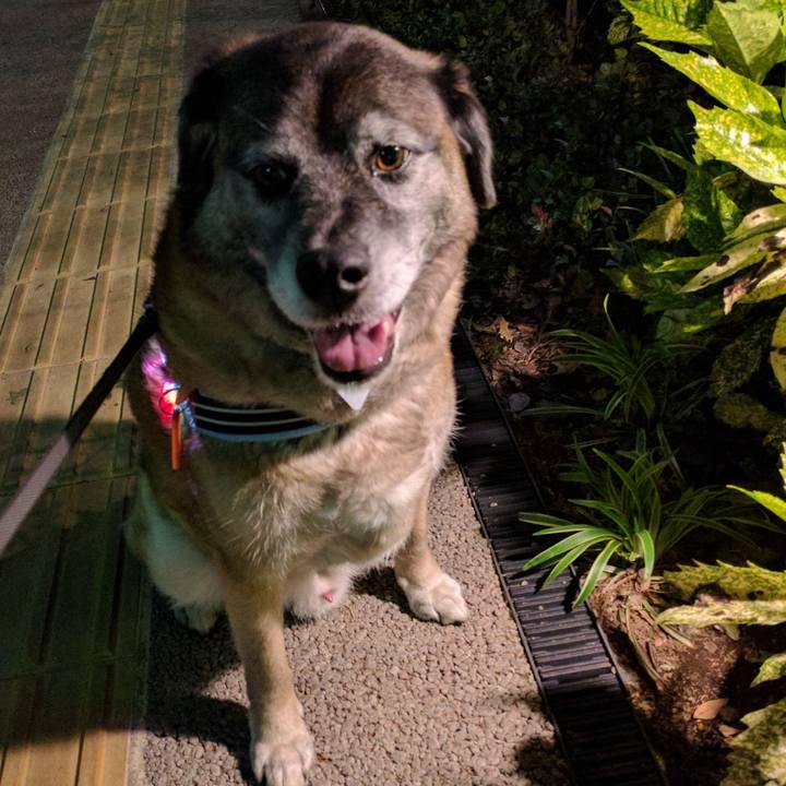 94be2153 a995 45fd bc95 54c9c9551f93