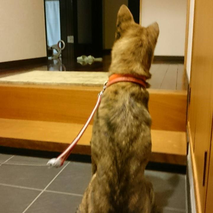 94bf130d d59e 4e4e ac22 2309f51d0d51