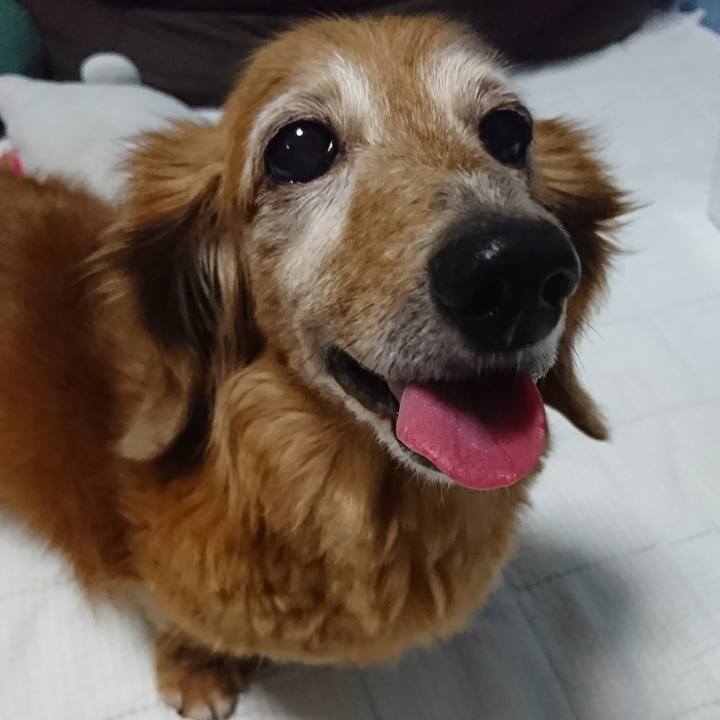 94bf5712 9aef 4b97 83fa db1d8f40486a