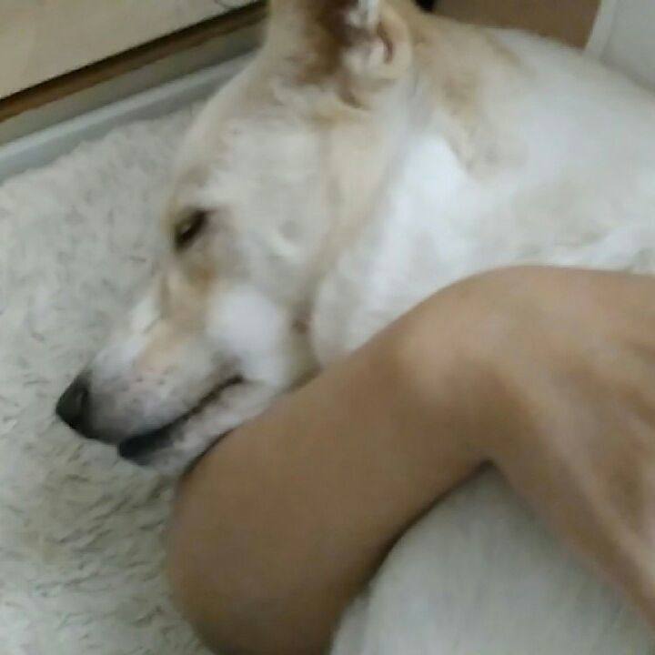 94bf8443 c549 427a b697 3a94ce2c000c