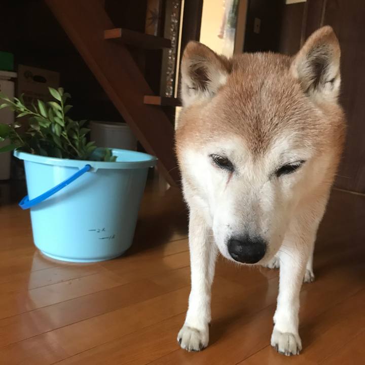 94bfc22e 7e4c 4788 ad40 28ac22062f44