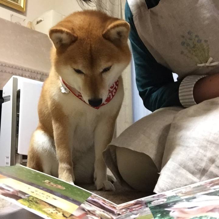 94bff8db 9917 46e5 b410 53b08ceb7aaf