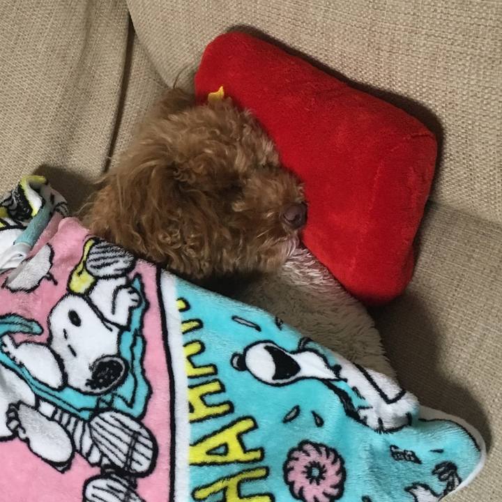 94c029e3 6b38 4c61 9be8 613cb45ab11d