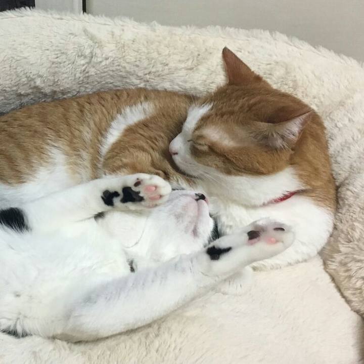 94c042a8 9175 4a98 8bee 75098bf5cd1b