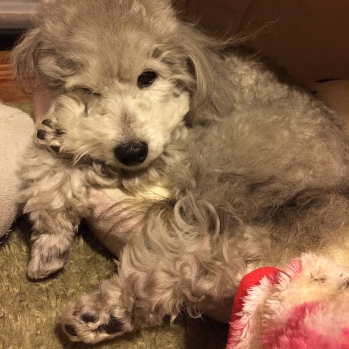 94c04870 2224 4766 97e3 d88bfa6c1887