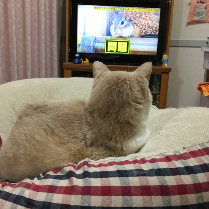 94c06718 86f1 4401 9431 fe4dd6e3b1be