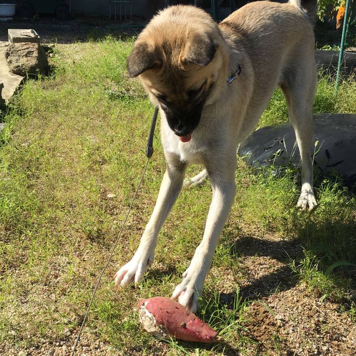 94c08e14 262f 4c1e 8b29 4740a39e402e