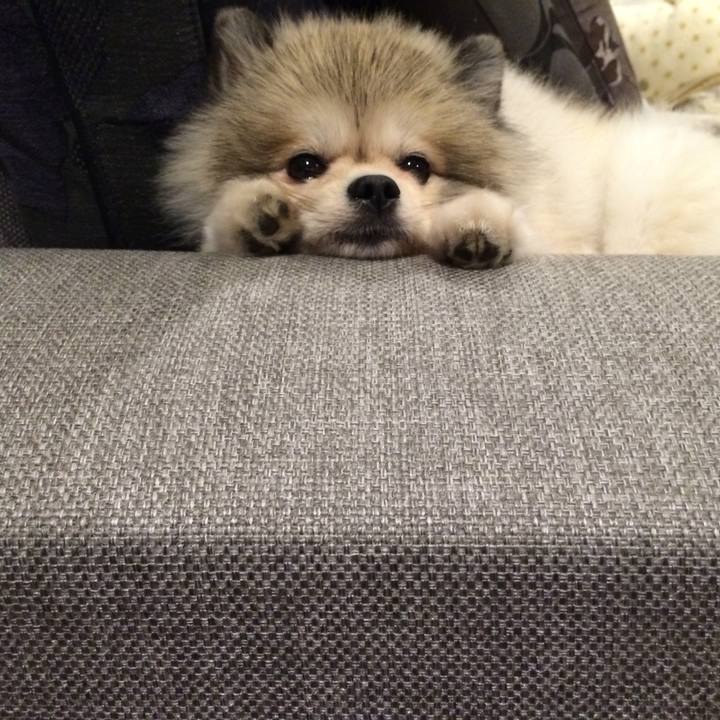 94c1a129 241c 480d acc2 cd3c45fca0a7