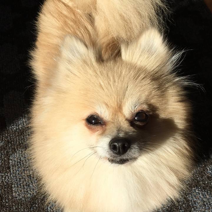 94c1af79 aac8 453a bda9 b374337286ad