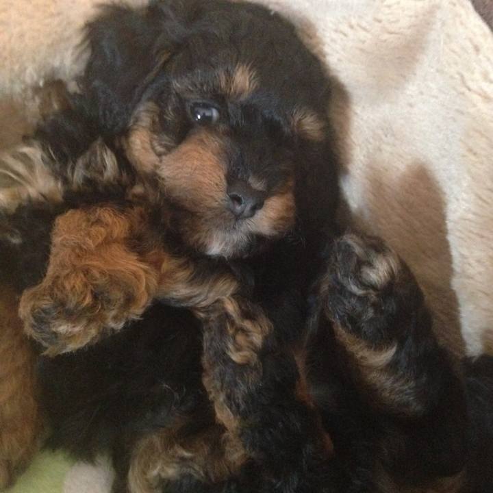 94c1e9c9 f06c 4880 b275 41fd504bb0c1