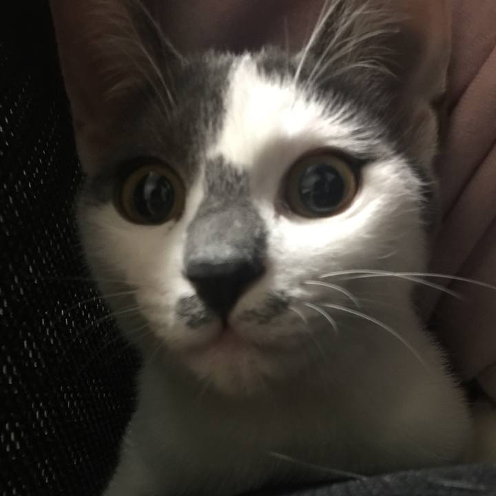 94c24aa5 bb8d 4608 b1f9 0386de86c368