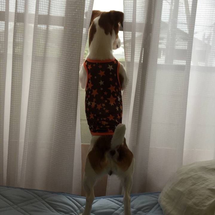 94c30a23 4016 41ec 9088 9a7b6d7850f8