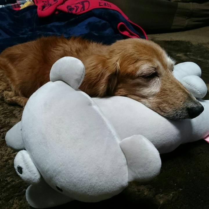 94c39751 d263 4b56 93d6 6f783fc15de3