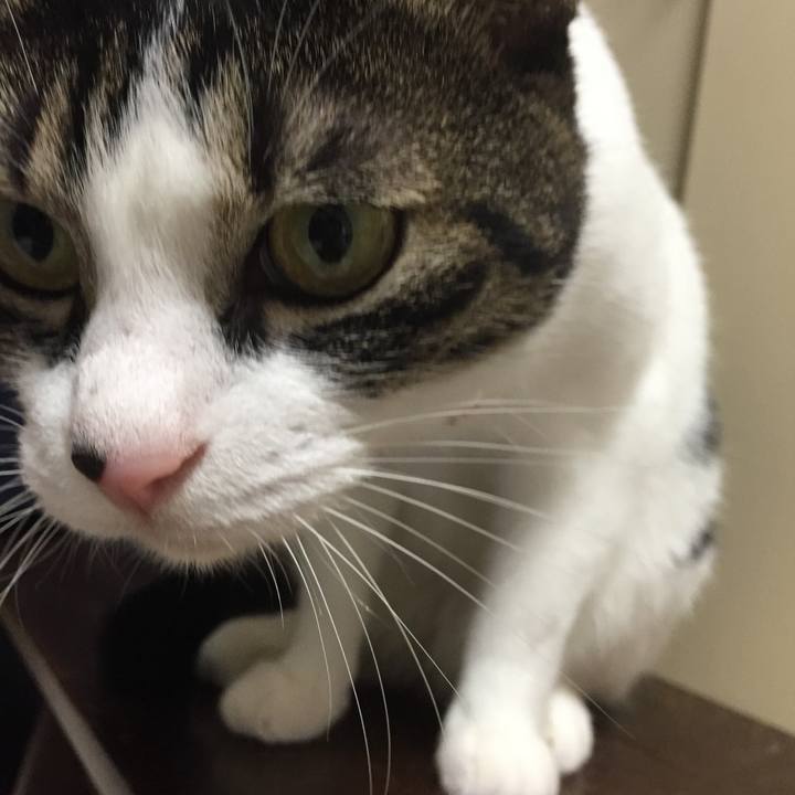 94c4215e ec50 4864 b566 811be0070896