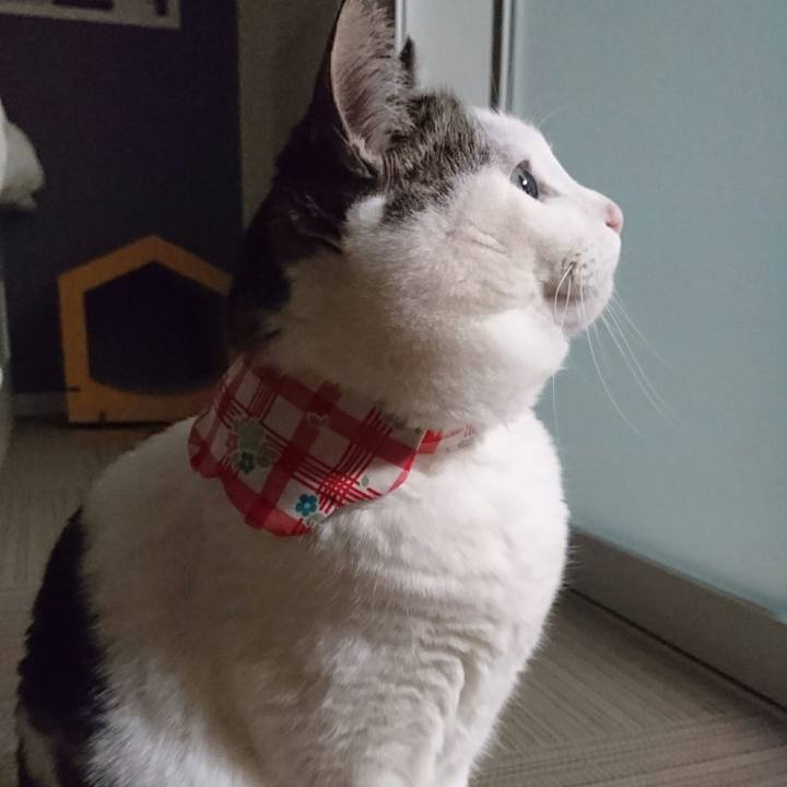 94c429ec 3a95 4928 8bcf 44319f9af460