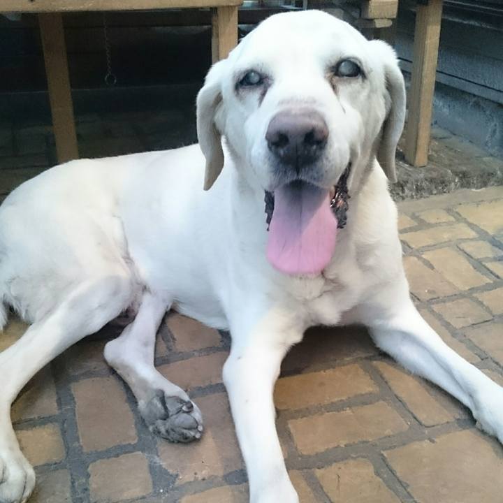 94c4506b 5e9d 41ed a58c 8ae9fa80cd4a