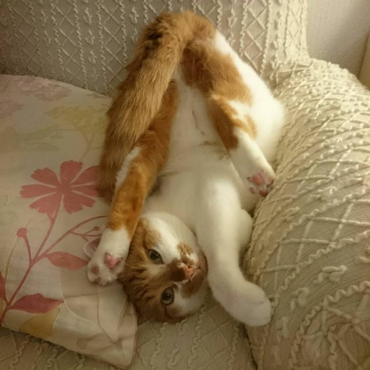 94c4f9e9 2510 47a3 ba89 f369b2265209