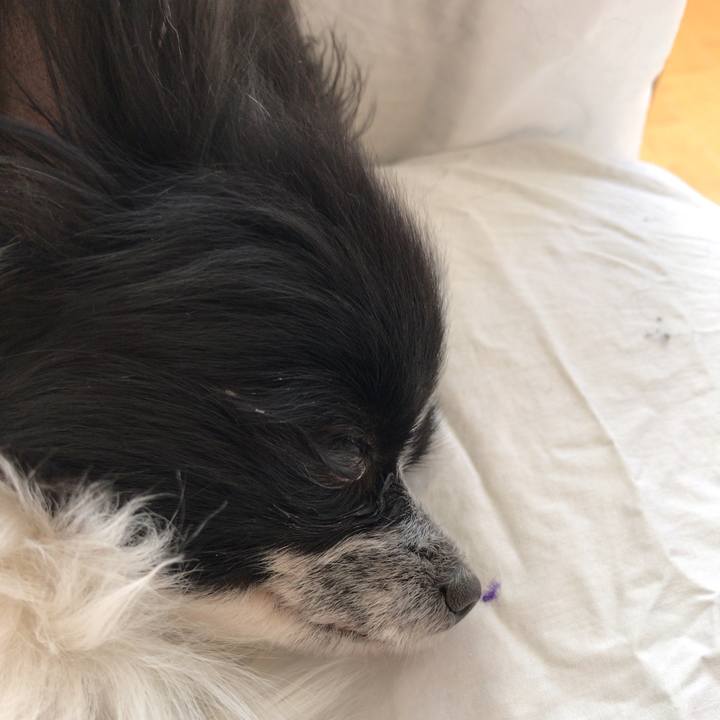 94c5033a 2c26 45ff 807e 68662dee174d