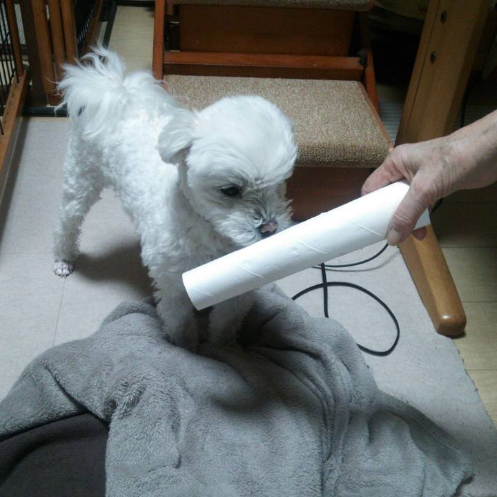 94c51569 e956 4423 913d e60b92d0e8b0