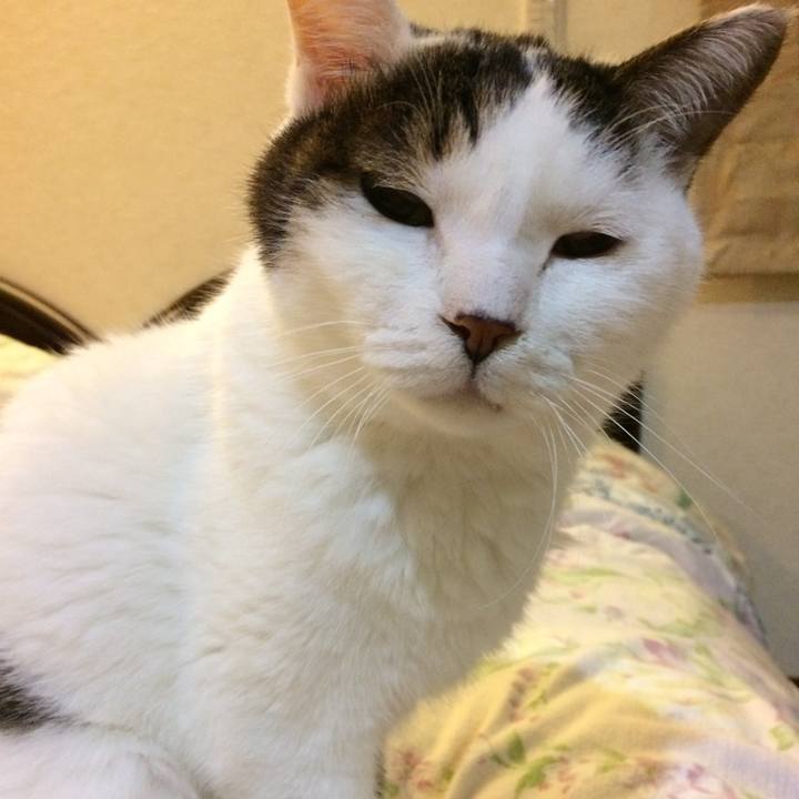 94c549d0 3def 4117 a9ec a4df0ded26bd