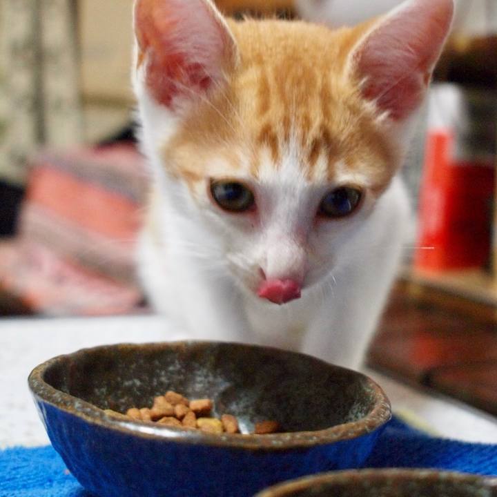 94c5f05a ff28 4247 8113 2d1153899cab