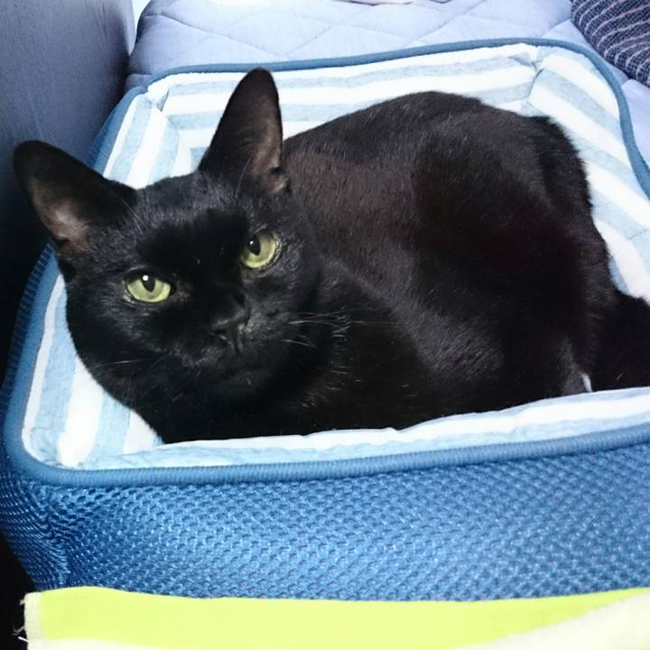 94c655c2 95b5 47f7 8420 072df8796a9e