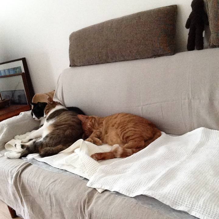 94c6ad62 20ec 4b67 aad7 d28d91e8f688