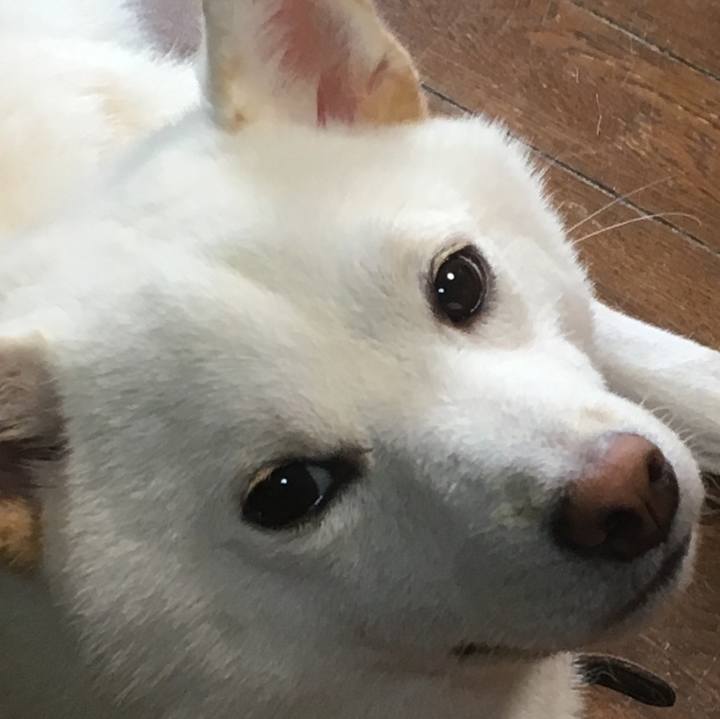 94c6fe7c 4b05 45de 8657 3403af0f04fb