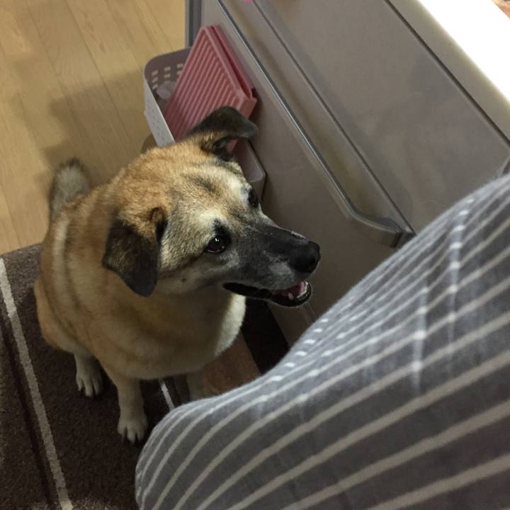 94c7bf31 5585 4661 a427 83ee228defa0