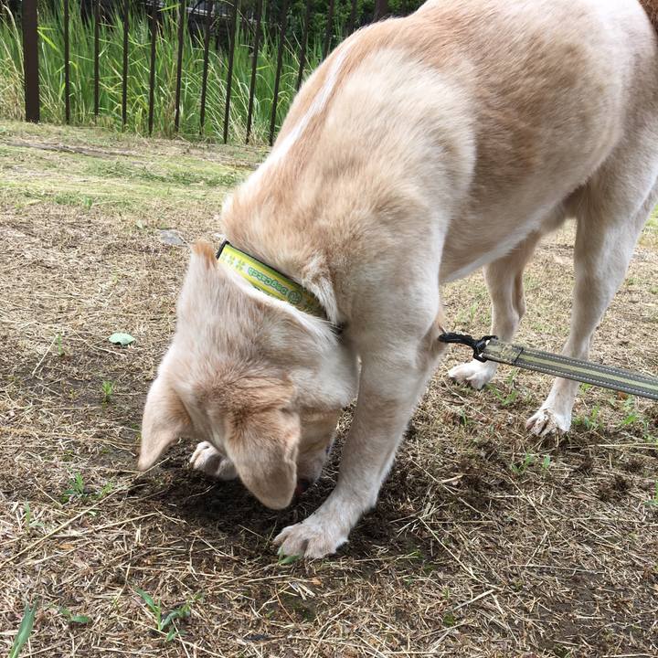 94c7e6cb 25e8 48a2 8c39 cb65b37ddf39