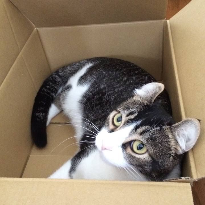 94c82af2 4728 42ee 912c b95bb8740f13