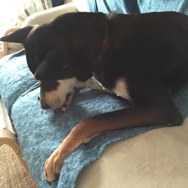 94c8d317 71b2 4473 8229 5d66cb0e3cc8