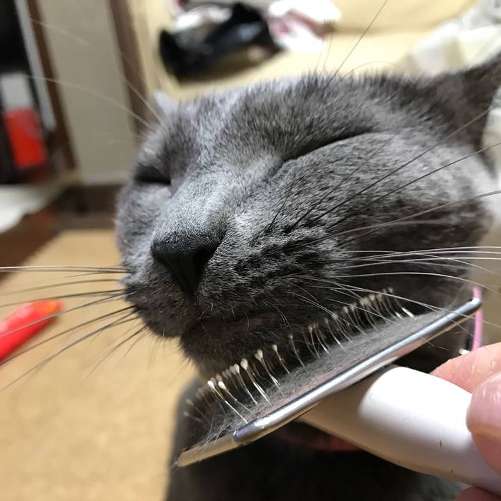 94c918bc a221 46e6 9d02 04680c1421c1