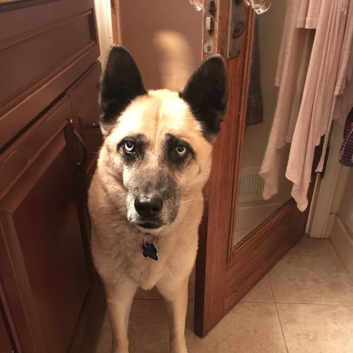 94c95774 8273 4308 bb9b b303934b3595