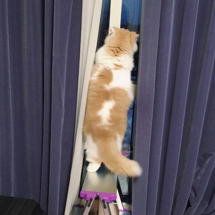 94c99cb2 bfed 4e1d 8fb8 7752e2dce8e7