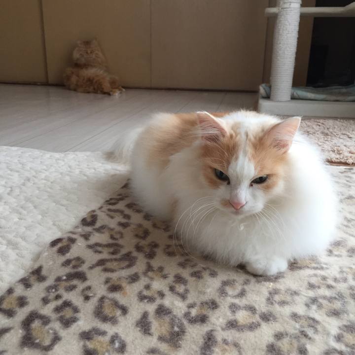 94c9f2a6 6ca5 4227 9551 42d5a7c85a3c