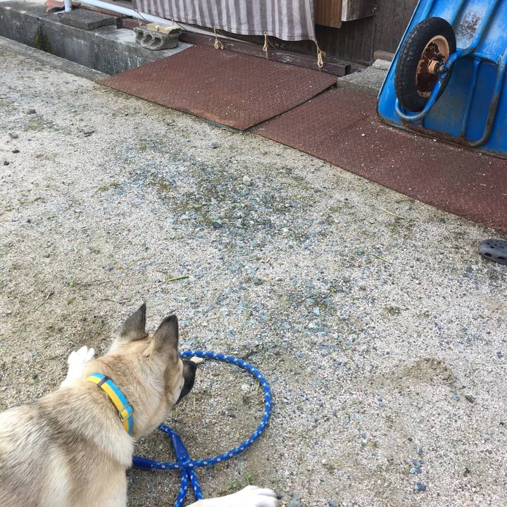 94ca1bcd d089 477d a75f 3dd180c30d3c