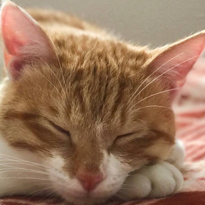 94ca8382 2792 4c3c 9d09 e15cdff0e77a