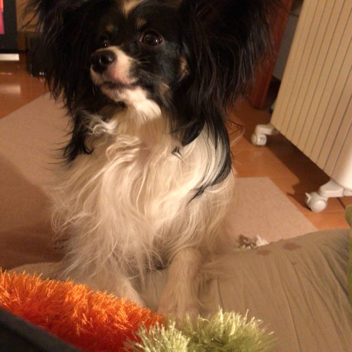 94cb5e59 94a3 4d21 a432 efaab1f08a08