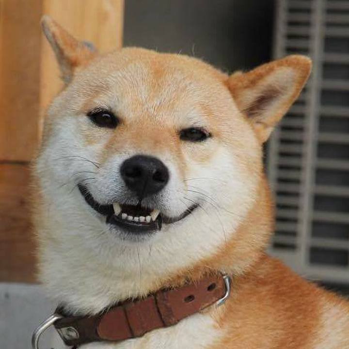 94cb6cec 089a 4dc1 a33c afa5bd43305b