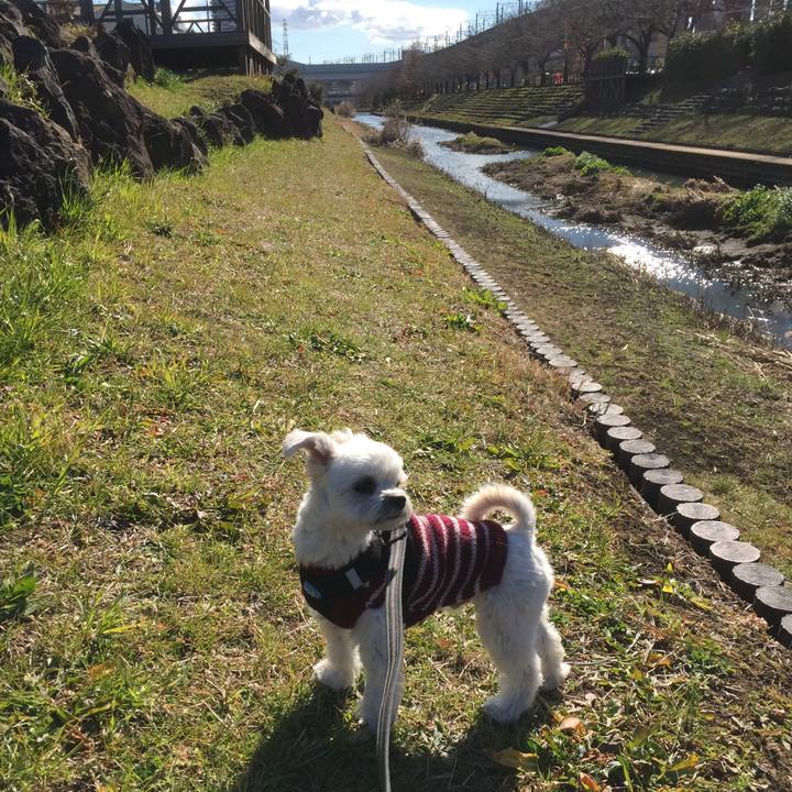 94cba94d d752 4c35 80dc 724a0f7351b4