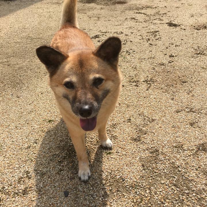 94cbff23 c01a 4554 b023 0610147caf60