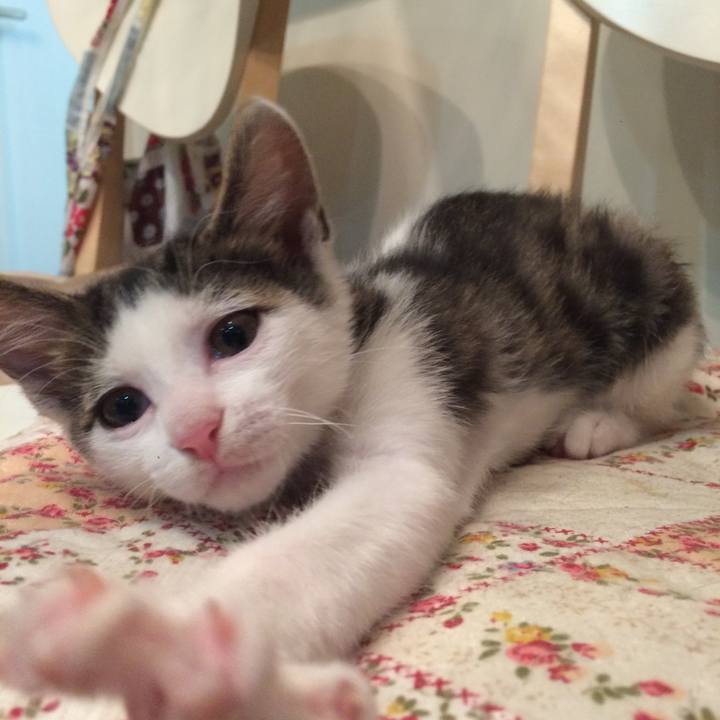 94cc183f e846 4d12 b275 dfc09bcf36c0