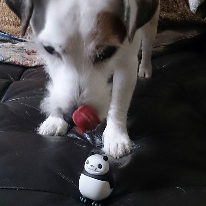 94cc5216 fd0e 445d 9d31 071abb356a6c