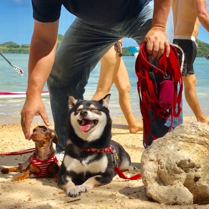 94cc9359 bcd6 45f2 9bfd cdfadccf38ee