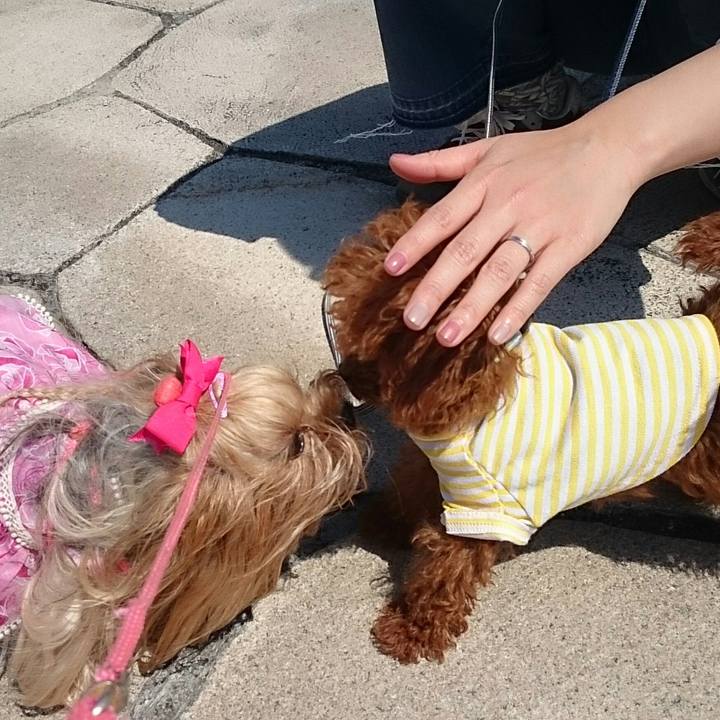 94cca2e9 1fb9 484d 8260 2a5fc49395e9