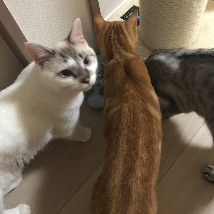 94ccfef2 dbc1 4951 aa13 2f4f2d4afbaf