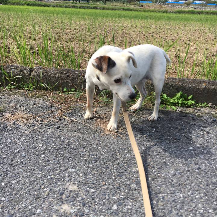 94cd6bd2 2c27 4384 bc30 41f7d24afb32