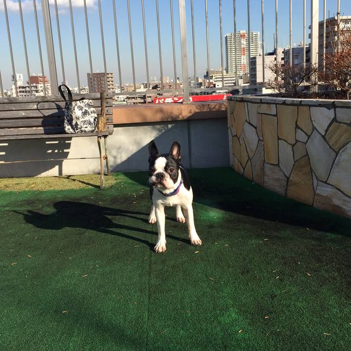 94cd6df2 b20f 473d 8942 3cdcf4c18aaa