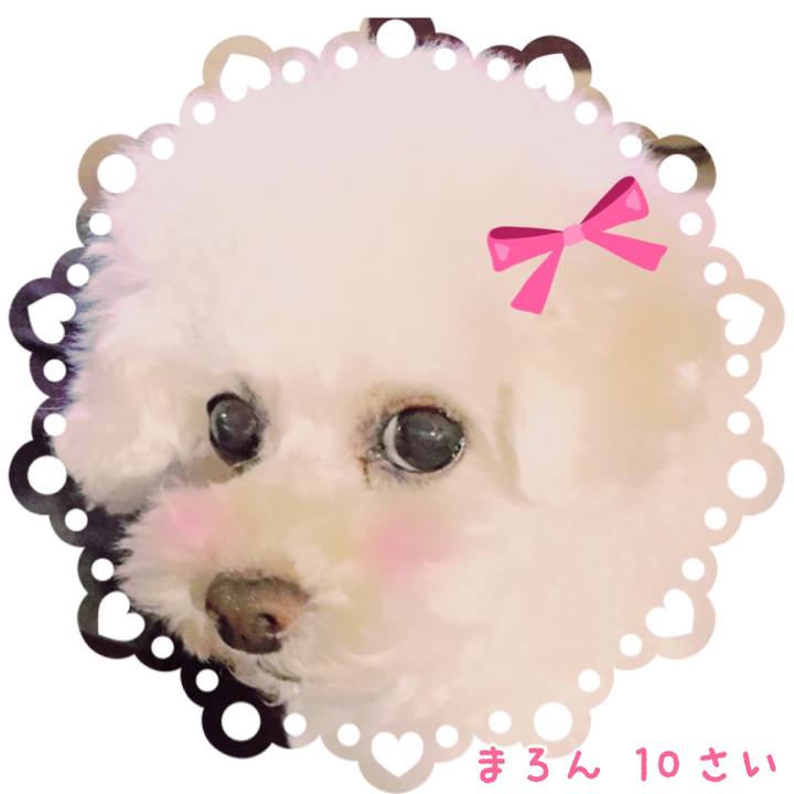 94cd90d7 6daa 4ef0 9dc9 6964f72a2450